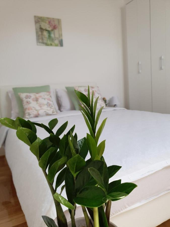 Apartamento Apartman Centar Novi Sad Exterior foto